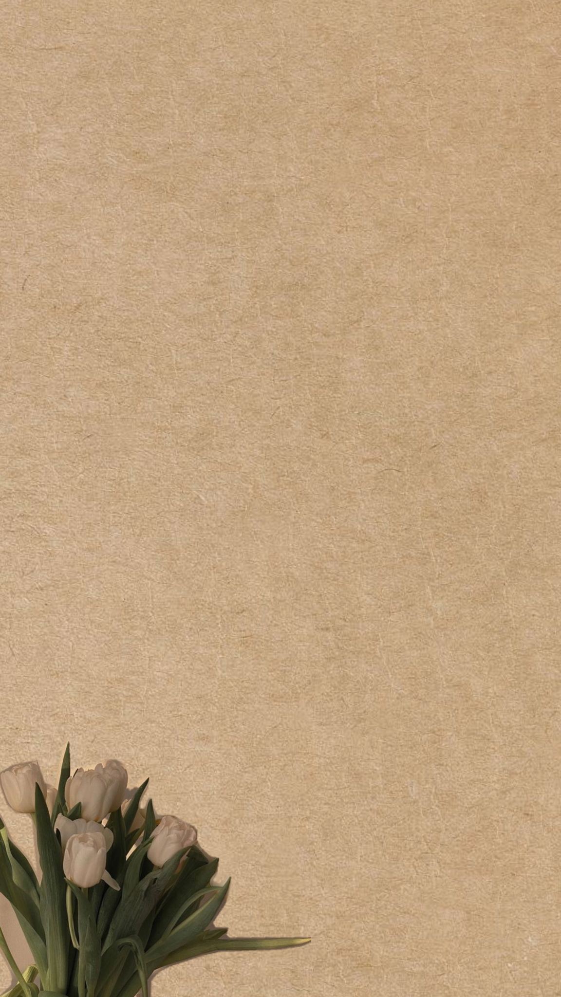 Chapter Contents Cover